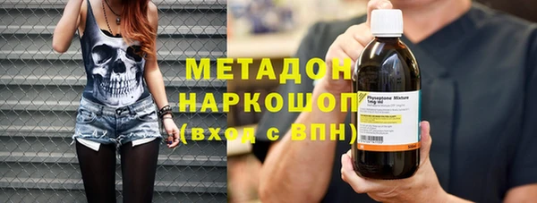 прущие грибы Ладушкин