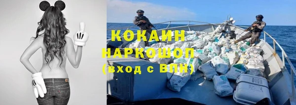 прущие грибы Ладушкин