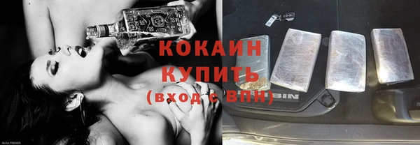твердый Лагань