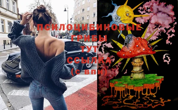 прущий лед Куйбышев