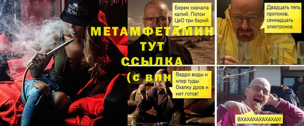 прущие грибы Ладушкин