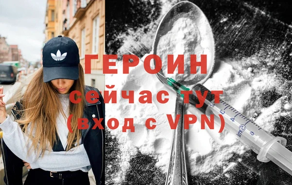 твердый Лагань