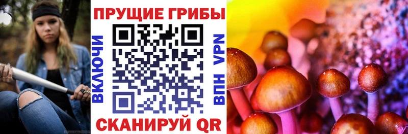 Купить закладки  Красноуральск  Галлюциногенные грибы Cubensis 